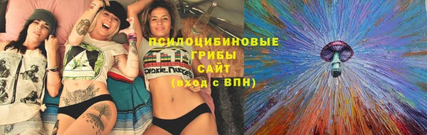 ECSTASY Балахна
