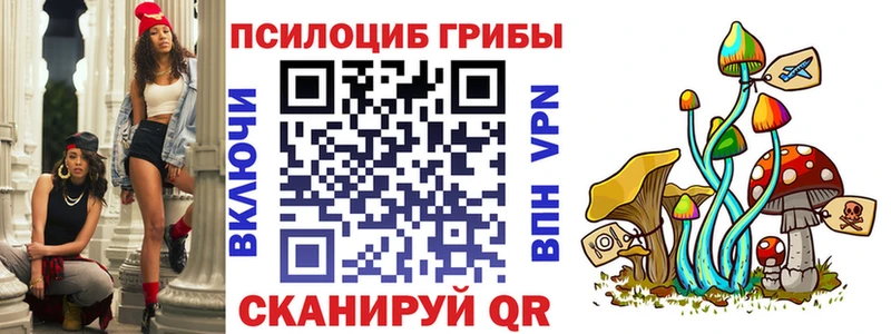 как найти наркотики  Ливны  Галлюциногенные грибы Magic Shrooms 